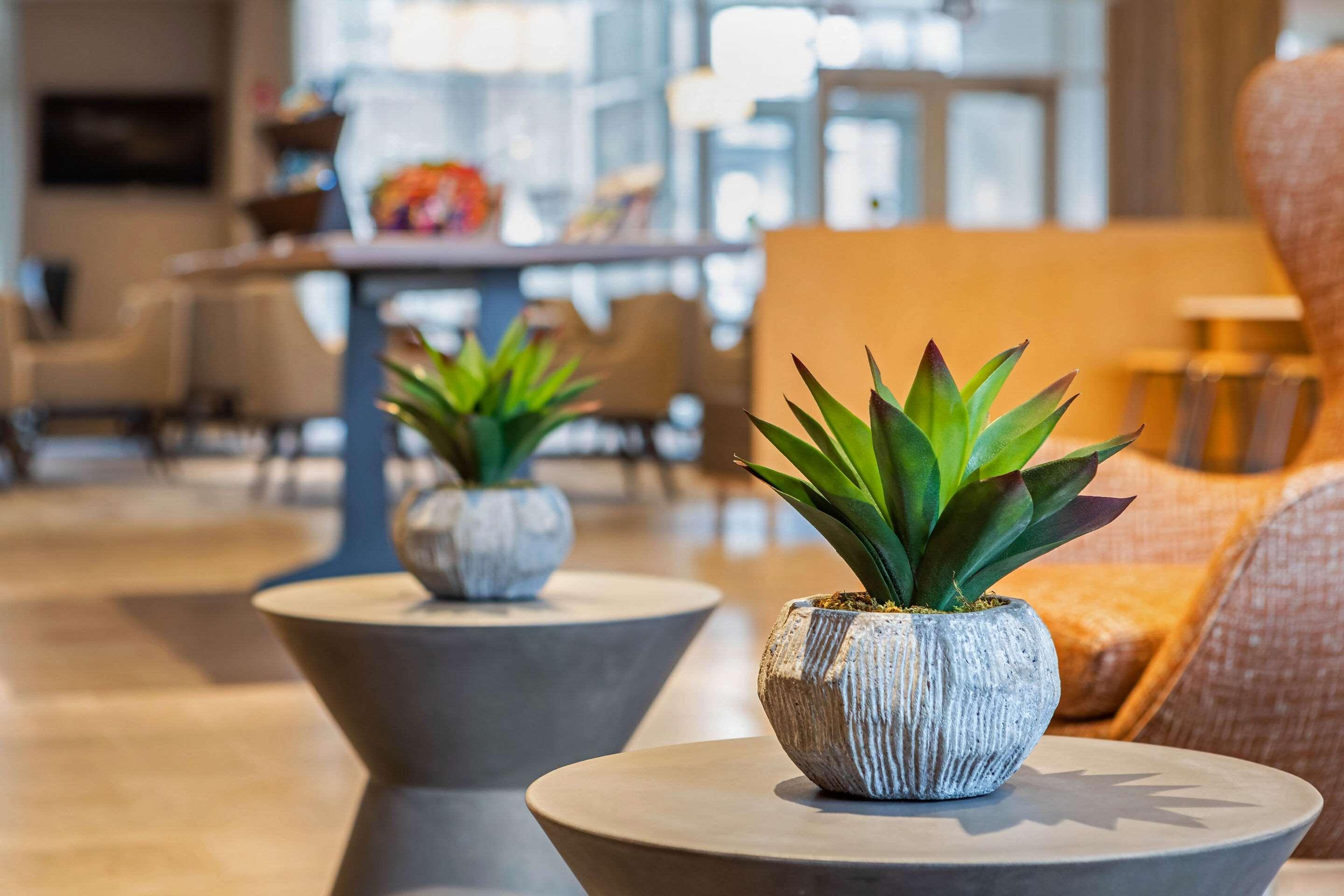 Cambria Hotel Orlando Airport Eksteriør bilde